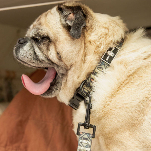 Waterproof Dog Collar - Otway