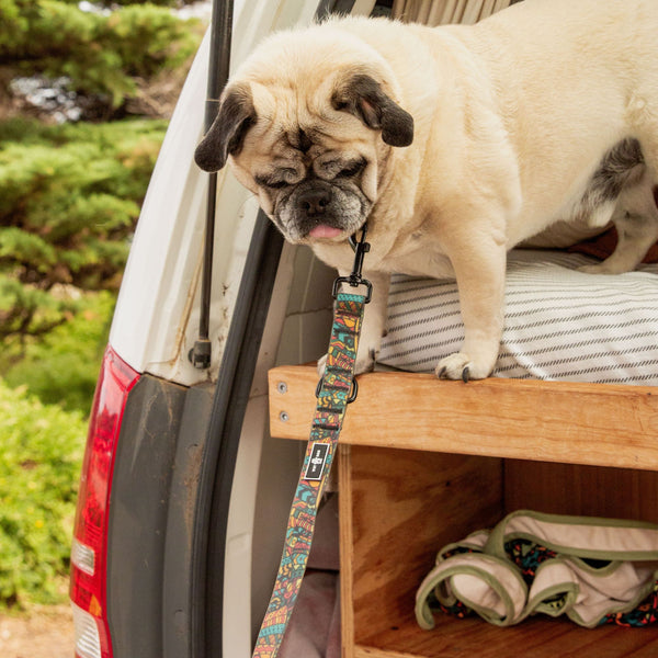 Waterproof, sand proof dog lead. Stainless Steel D Ring. Recycled webbing. Eco friendly coating. Designed in Australia. Designer lead. Double clip Lead.