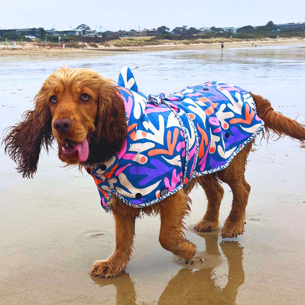 Dog hooded towel, bathrobe for dogs, calming jacket for dogs. recycled, eco friendly products for dogs. Made from recycled plastic bottles. Lightweight towel for dogs. cocker spaniel. Surf dog Towel.
