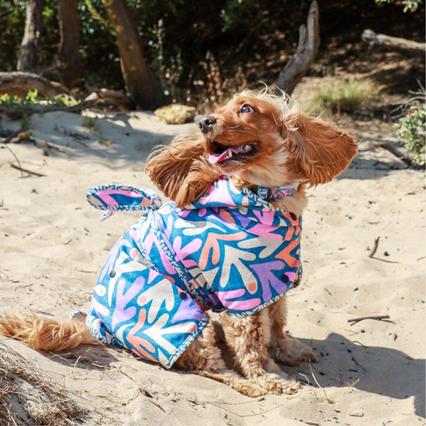 Dog Hooded Towel - SEAGAL