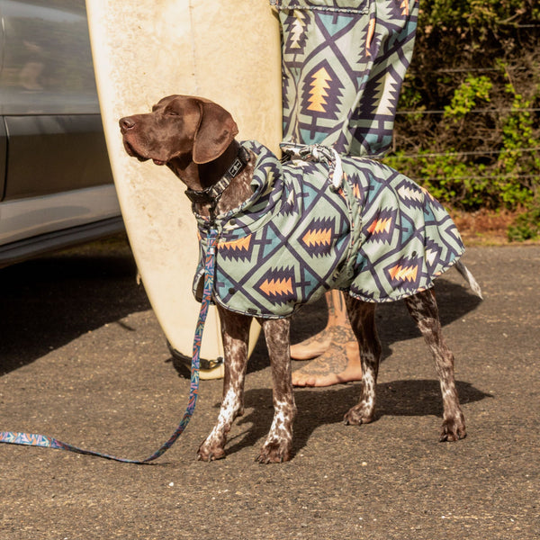 Dog hooded towel, bathrobe for dogs, calming jacket for dogs. recycled, eco friendly products for dogs. Made from recycled plastic bottles. Lightweight towel for dogs.