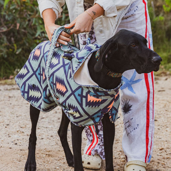 Dog hooded towel, bathrobe for dogs, calming jacket for dogs. recycled, eco friendly products for dogs. Made from recycled plastic bottles. Lightweight towel for dogs.