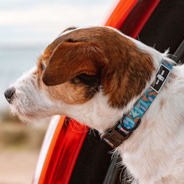 Anti-odour waterproof collar hardware detail made from recycled plastic bottles