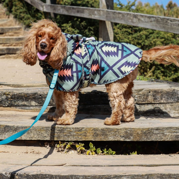 Dog hooded towel, bathrobe for dogs, calming jacket for dogs. recycled, eco friendly products for dogs. Made from recycled plastic bottles. Lightweight towel for dogs. cocker spaniel.