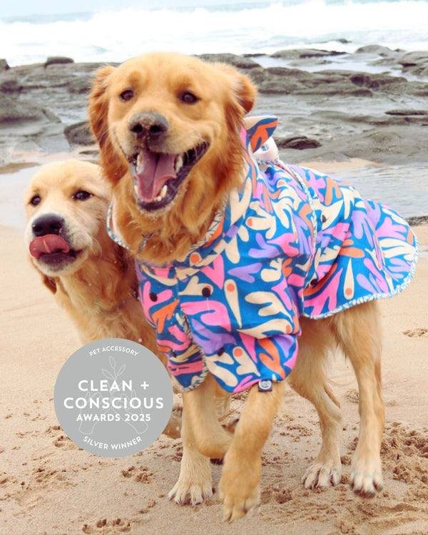 Dog Hooded Towel - SEAGAL