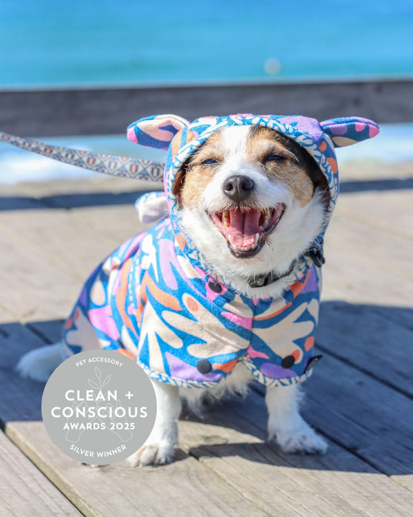 Dog Hooded Towel - SEAGAL