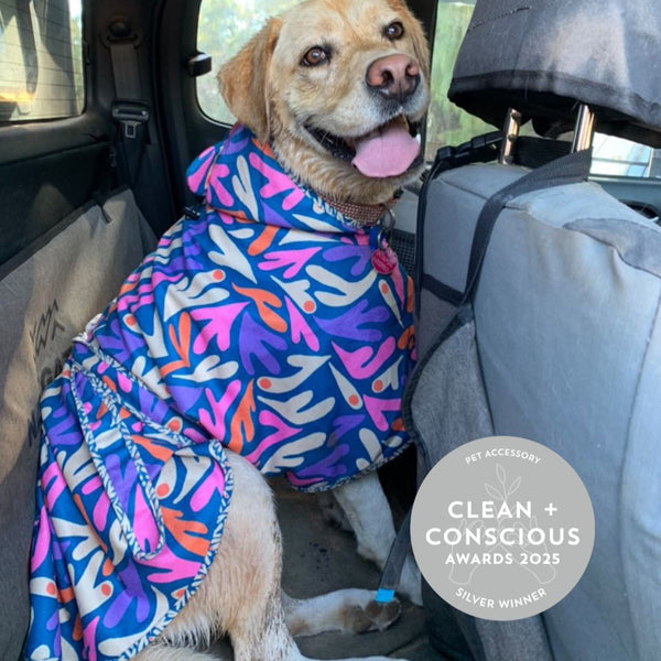 Dog wearing a colorful jacket, towel sitting in a car, with a 'Clean + Conscious Awards 2023' badge in the corner.