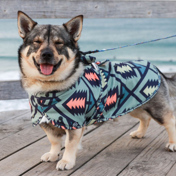 Midi, small dog towel, corgi, cavoodle size