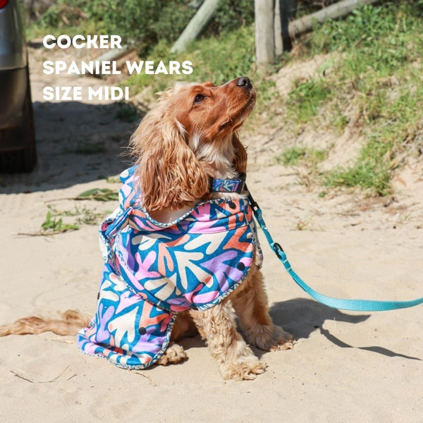 Dog hooded towel, bathrobe for dogs, calming jacket for dogs. recycled, eco friendly products for dogs. Made from recycled plastic bottles.Drying Hoodie for dogs. Lightweight towel for dogs. Matching dog and owner towel, Outdoor dog and human matching gear