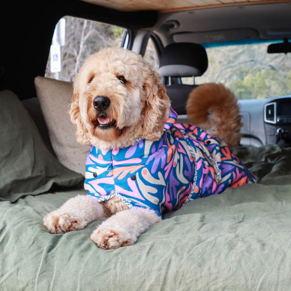 Dog Hooded Towel - SEAGAL