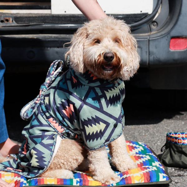 Hooded Jumper for dogs, Surfdog, Dog Robe, Jacket for dogs. How to dry dog, Groodle