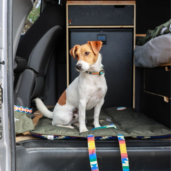 Travel Dog Mat - Wanderlust Print