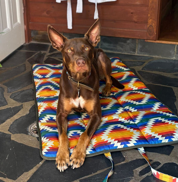 Water-resistant travel dog mat, travel bed, packable travel dog bed, training dog mat , Australia. Outdoor dog bed. Camping Dog Bed.