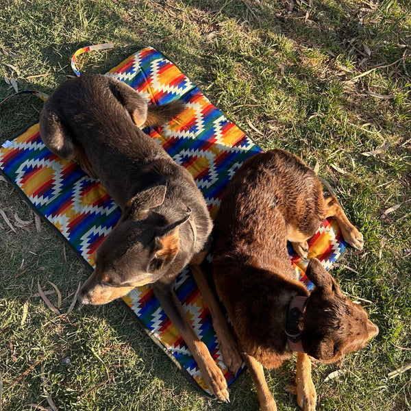 Water-resistant travel dog mat, travel bed, packable travel dog bed, training dog mat , Australia. Outdoor dog bed. Camping Dog Bed.