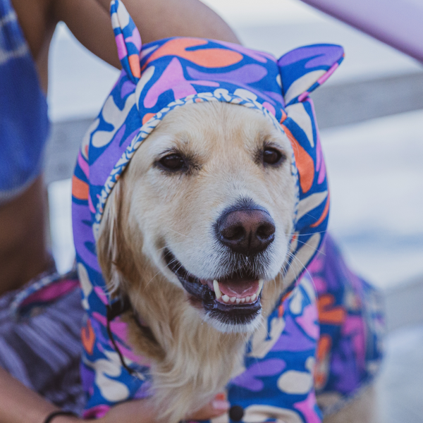 Dog hooded towel, bathrobe for dogs, calming jacket for dogs. recycled, eco friendly products for dogs. Made from recycled plastic bottles.Drying Hoodie for dogs. Lightweight towel for dogs. Matching dog and owner towel, Outdoor dog and human matching gear