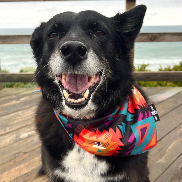Dog Bandana/ Nomad