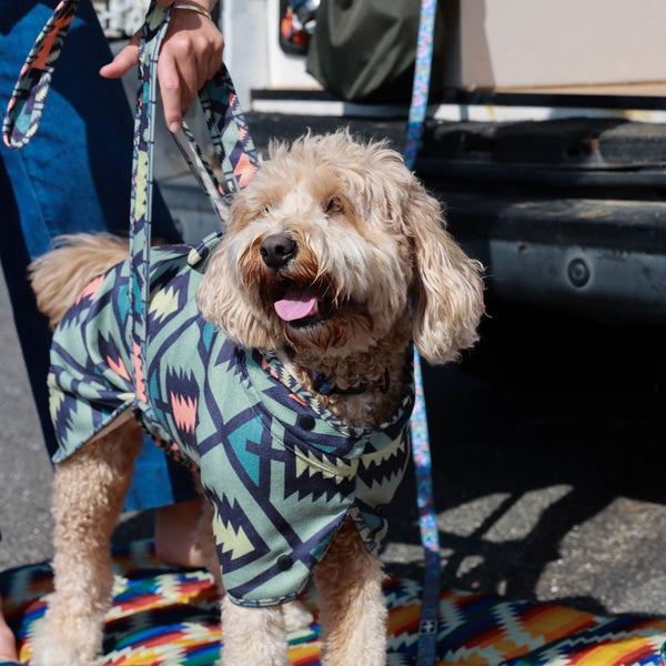 Hooded Jumper for dogs, Surfdog, Dog Robe, Jacket for dogs. How to dry dog, Groodle
