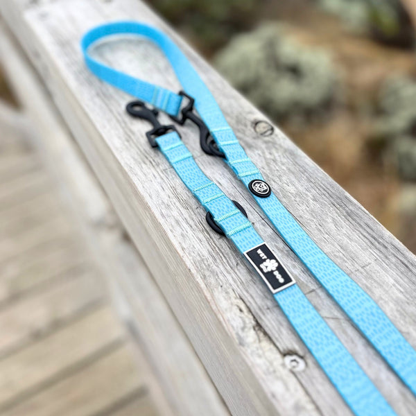 Waterproof, sand proof dog lead. Stainless Steel D Ring. Recycled webbing. Eco friendly coating. Designed in Australia. Designer lead. Double clip Lead.