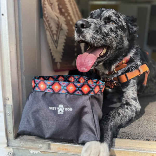 Packable Dog Bowl