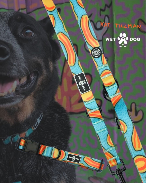 Waterproof and durable dog collar. Stainless steel D ring, recycled webbing. Designed in Australia . Wet Dog and Co.