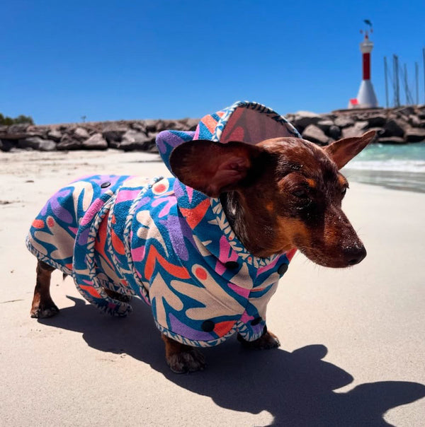 Dog hooded towel, bathrobe for dogs, calming jacket for dogs. recycled, eco friendly products for dogs. Made from recycled plastic bottles.Drying Hoodie for dogs. Lightweight towel for dogs. Matching dog and owner towel, Outdoor dog and human matching gear