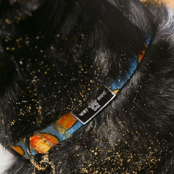 Waterproof Dog Collar I Ripple