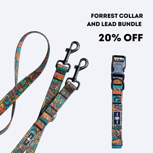 Forrest Collar & Lead Bundle
