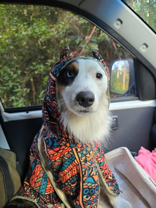 Dog Hooded Towel - Forrest