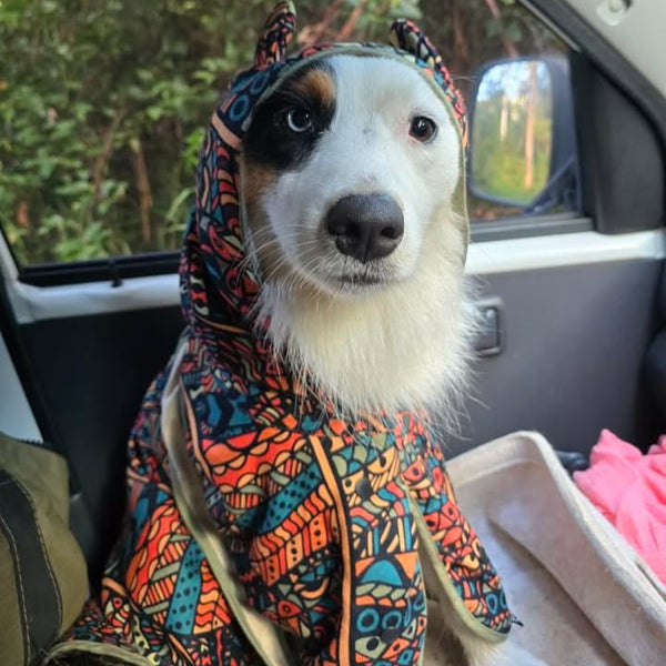 Dog Hooded Towel - Forrest