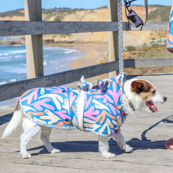 Dog hooded towel, bathrobe for dogs, calming jacket for dogs. recycled, eco friendly products for dogs. Made from recycled plastic bottles.Drying Hoodie for dogs. Lightweight towel for dogs. Matching dog and owner towel, Outdoor dog and human matching gear