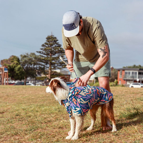 Dog hooded towel, bathrobe for dogs, calming jacket for dogs. recycled, eco friendly products for dogs. Made from recycled plastic bottles.Drying Hoodie for dogs. Lightweight towel for dogs. Matching dog and owner towel, Outdoor dog and human matching gear
