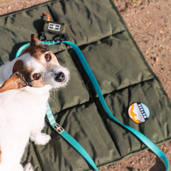 Dog travel Mat, Dog Bed, Portable dog bed, DogWater-resistant travel dog mat, travel bed, packable travel dog bed, training dog mat , Australia. Outdoor dog bed. Camping Dog Bed. Training mat, Camping dog bed, Dog Mat. Indie boho dog bed, Compact, roll in dog bed.