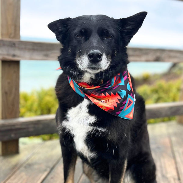 Dog Bandana/ Nomad