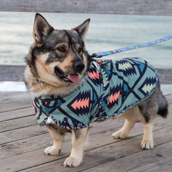 Dog hooded towel, bathrobe for dogs, calming jacket for dogs. recycled, eco friendly products for dogs. Made from recycled plastic bottles. Lightweight towel for dogs.