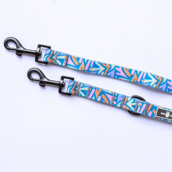 waterproof dog lead. Double clip, functional and adjustable length. Recycled webbing. Eco friendly. Australia Owned small business.