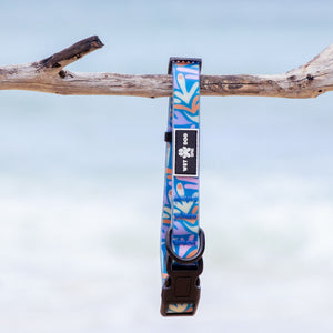Waterproof and durable dog collar. Stainless steel D ring, recycled webbing. Designed in Australia . Wet Dog and Co.