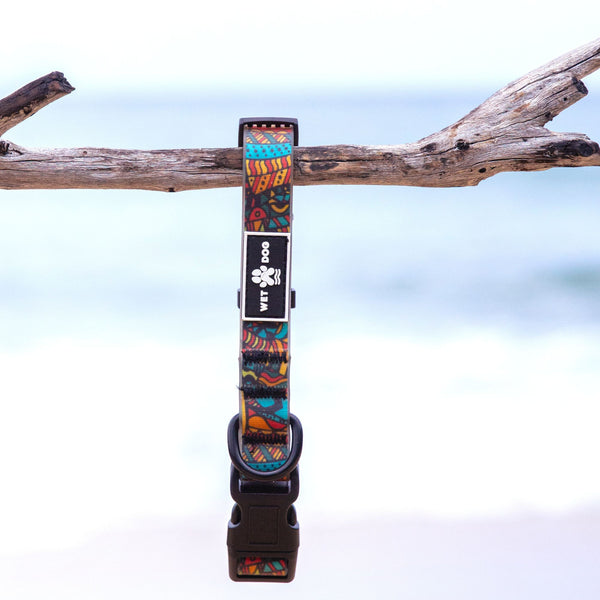 Waterproof and durable dog collar. Stainless steel D ring, recycled webbing. Designed in Australia . Wet Dog and Co.
