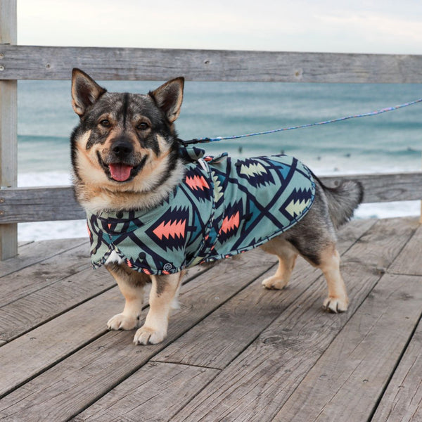 Dog hooded towel, bathrobe for dogs, calming jacket for dogs. recycled, eco friendly products for dogs. Made from recycled plastic bottles. Lightweight towel for dogs.