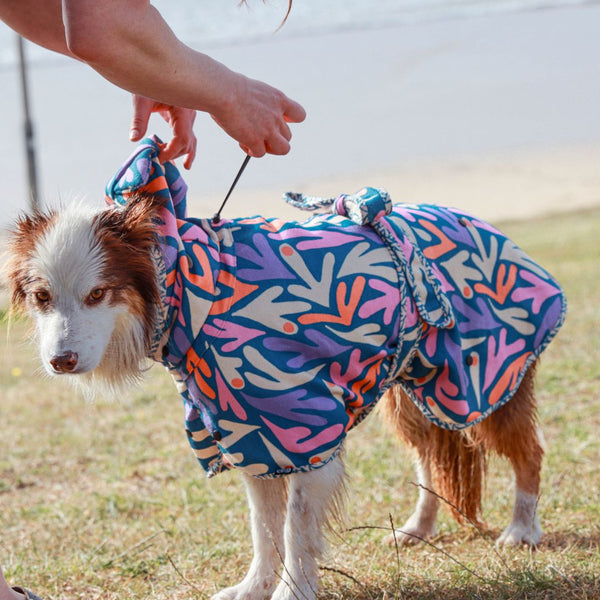 Dog Hooded Towel - SEAGAL