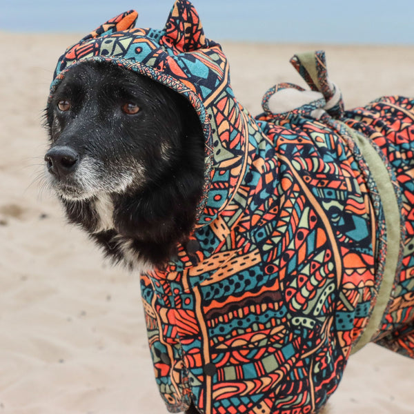 Forrest Explorer Pack