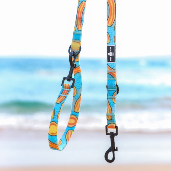Waterproof, sand proof dog lead. Stainless Steel D Ring. Recycled webbing. Eco friendly coating. Designed in Australia