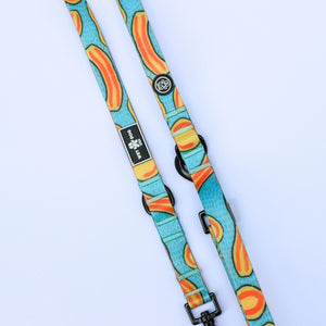 Waterproof, sand proof dog lead. Stainless Steel D Ring. Recycled webbing. Eco friendly coating. Designed in Australia