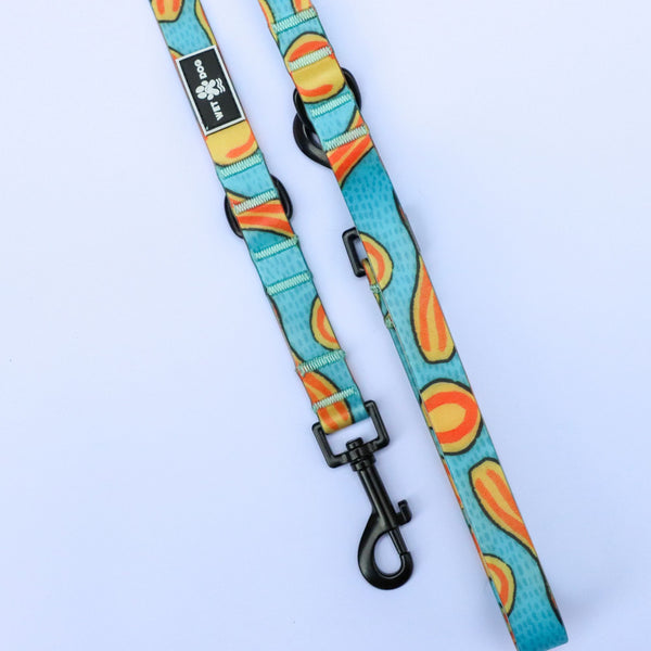 Waterproof, sand proof dog lead. Stainless Steel D Ring. Recycled webbing. Eco friendly coating. Designed in Australia