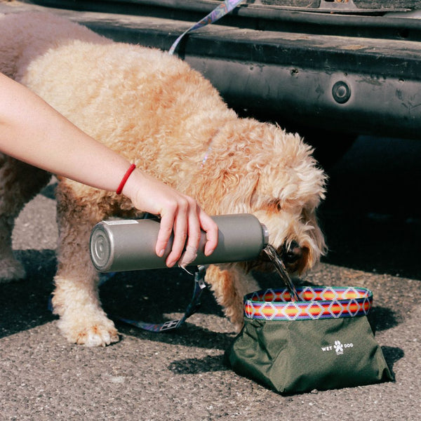 Dog Travel Bowl. Lightweight dog bowl, recycled dog products. Compact, easy to carry dog bowl.