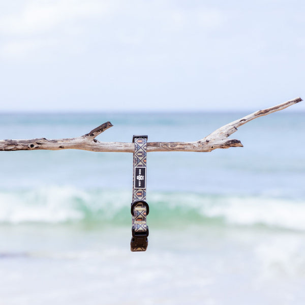 Waterproof and durable dog collar. Stainless steel D ring, recycled webbing. Designed in Australia . Wet Dog and Co.