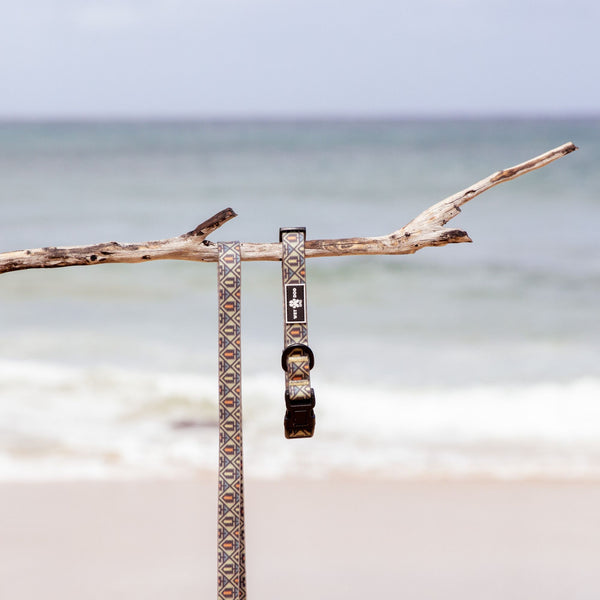 Waterproof, sand proof dog lead. Stainless Steel D Ring. Recycled webbing. Eco friendly coating. Designed in Australia. Designer lead. Double clip Lead.