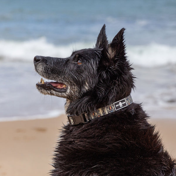 Waterproof Dog Collar - Otway