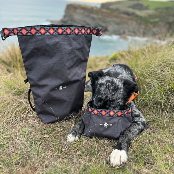 Wet Dog Bundle travel dog bowl, dog bandana