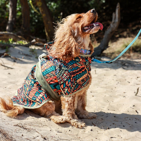 Dog Hooded Towel - Forrest