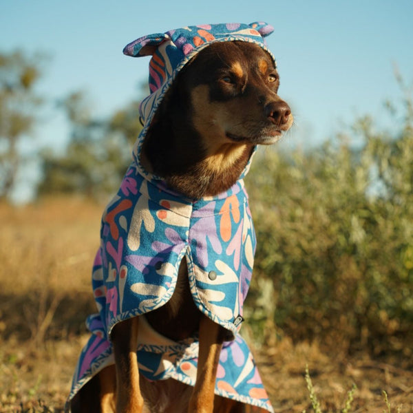 Quick-dry Seagal print dog hooded towel